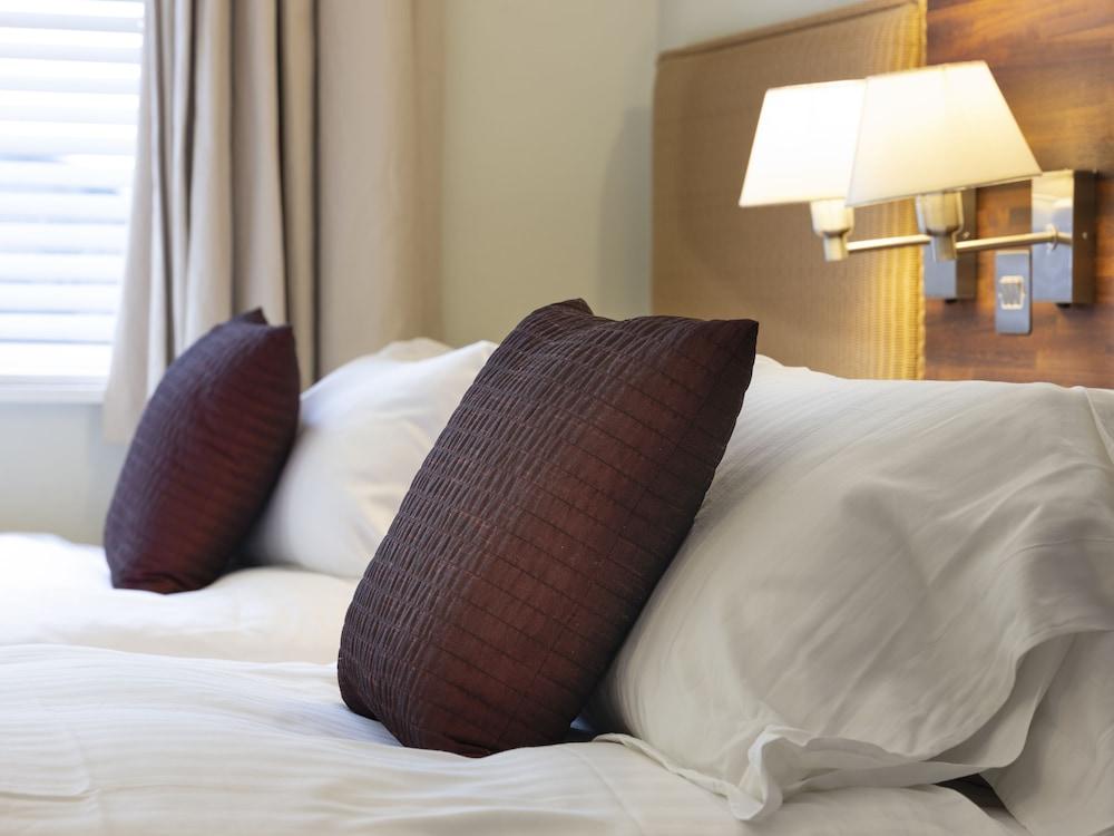 The Headland Hotel And Spa New Quay Eksteriør bilde